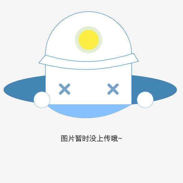 希格茨曼（天津—）電子儀表有限公司